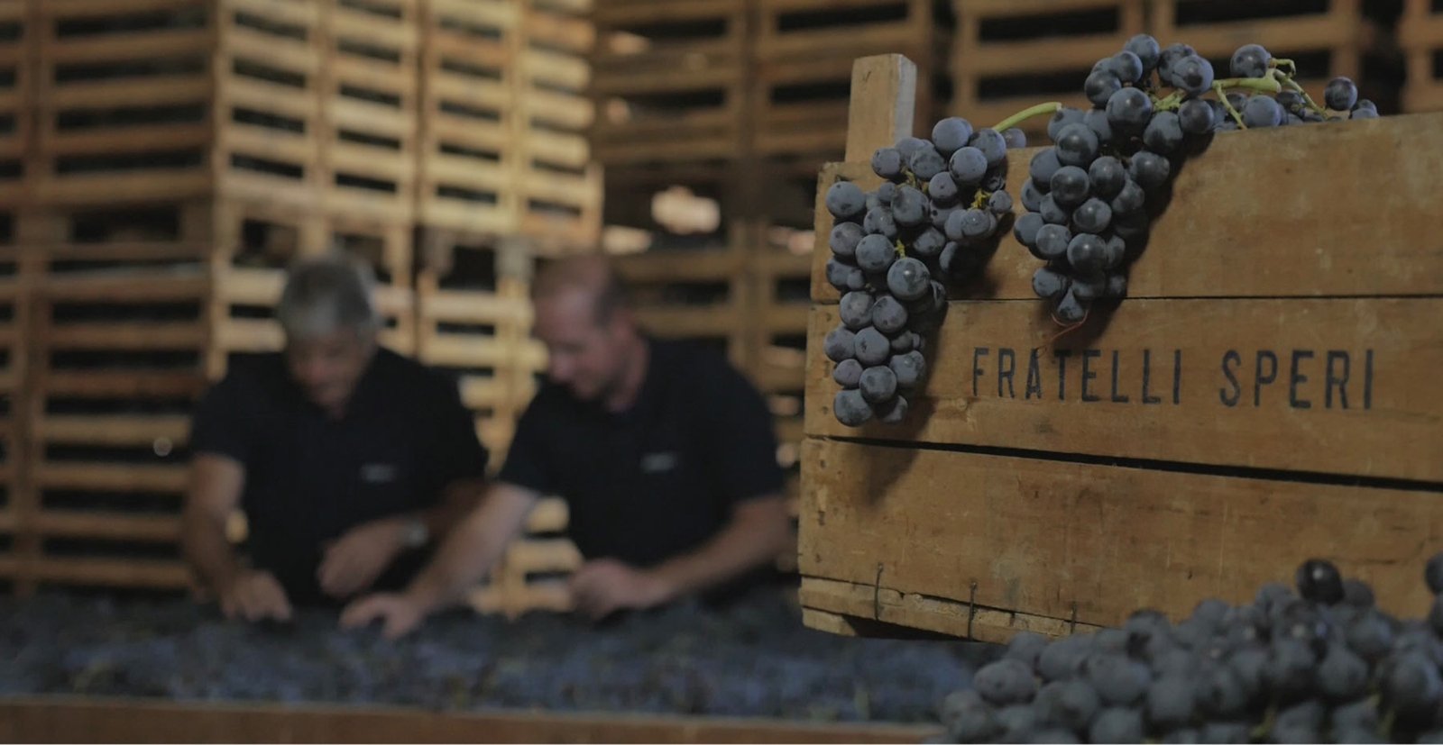 Speri Amarone della Valpolicella