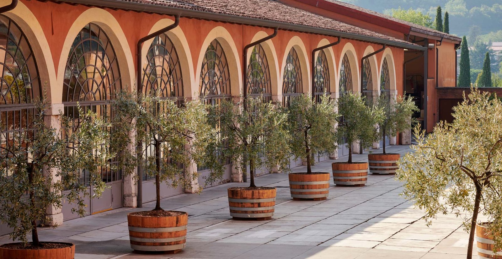 Bertani Amarone della Valpolicella