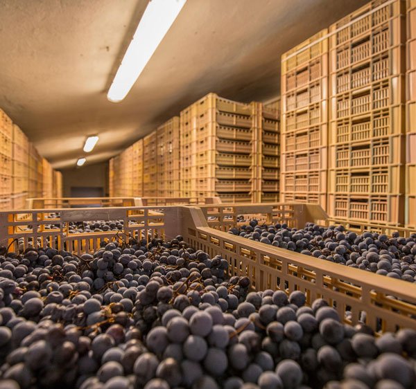 Begali Amarone della Valpolicella