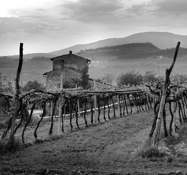 Masi Amarone della Valpolicella