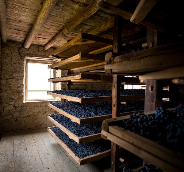 Masi Amarone della Valpolicella appassimento