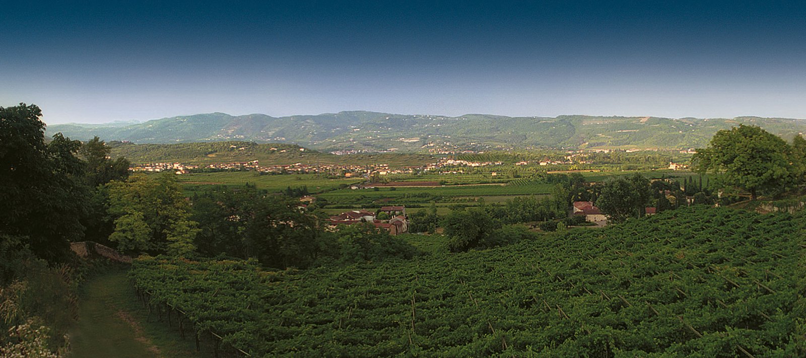 Masi Amarone della Valpolicella