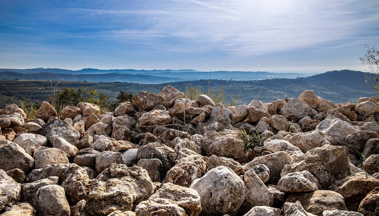 Torre d'Orti Amarone della Valpolicella